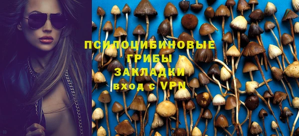 амф Алзамай
