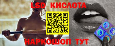 крисы Кимры