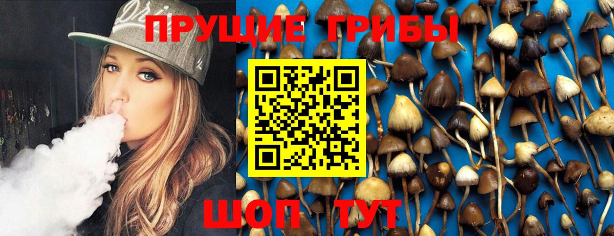 Галлюциногенные грибы Psilocybine cubensis Лабинск