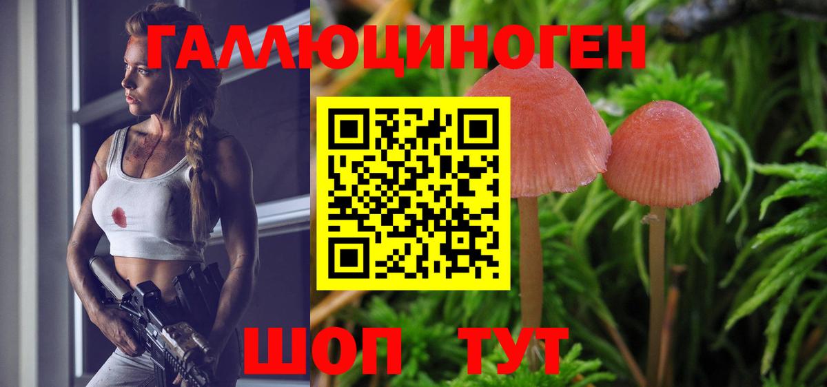 Псилоцибиновые грибы GOLDEN TEACHER  Галлюциногенные грибы мухоморы  Вход с VPN  Лабинск 